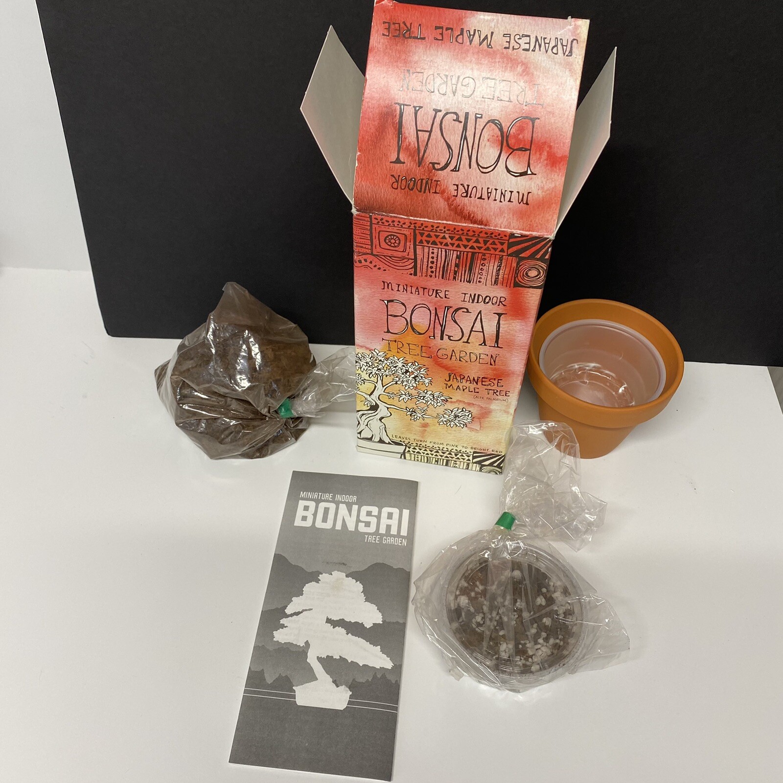 Miniature indoor Bonsai Japanese maple tree kit Urban Outfitters