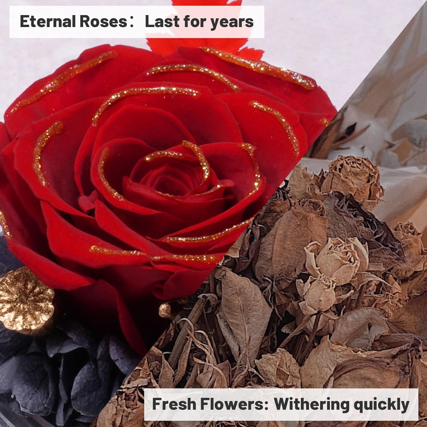 Preserved Flowers Rose Birthday Gifts for Women Mom in Glass Angel Figurines, Mo