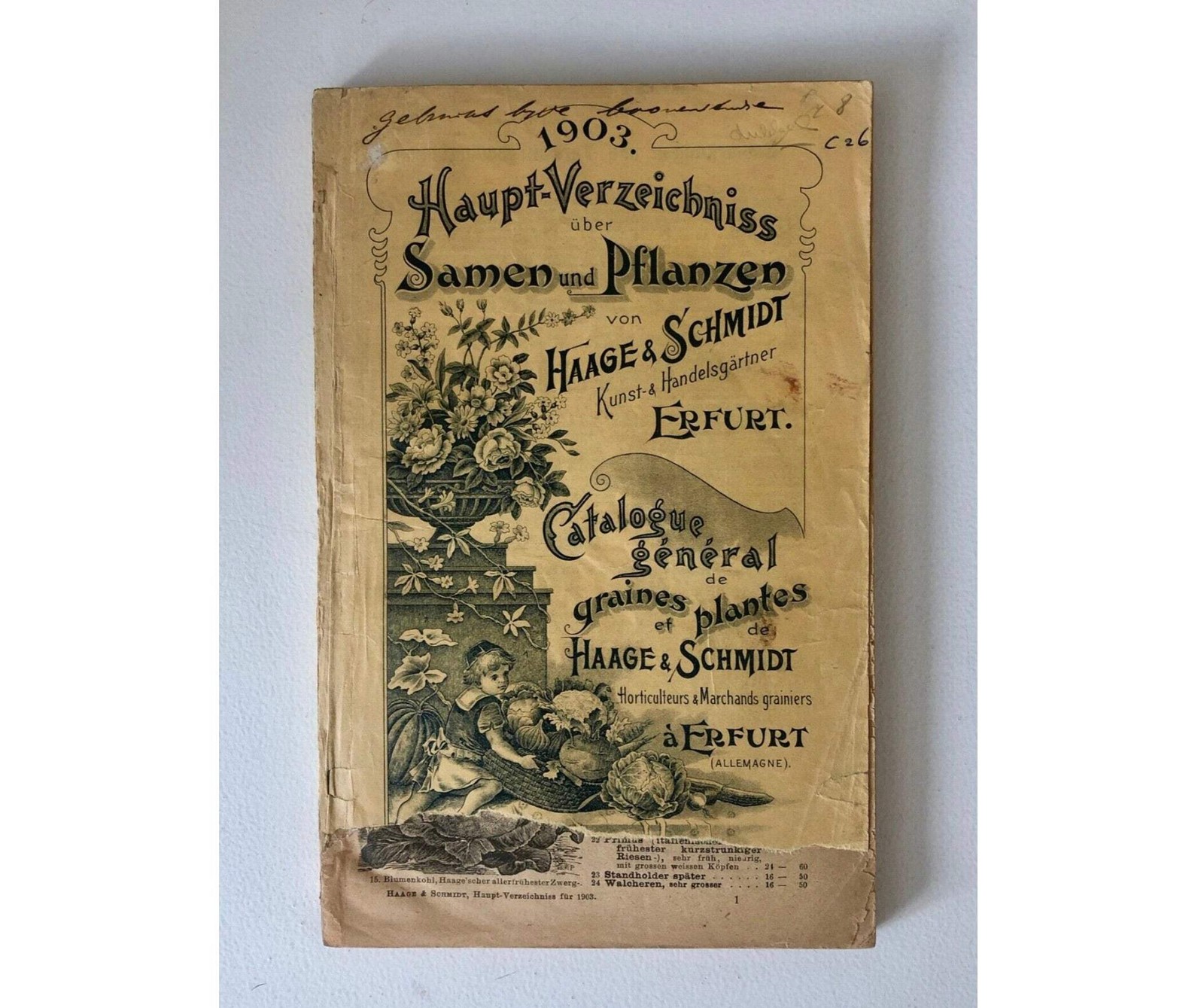 Haage & Schmidt 1903 Haupt-Verzeichniss Samen und Pflanzen –