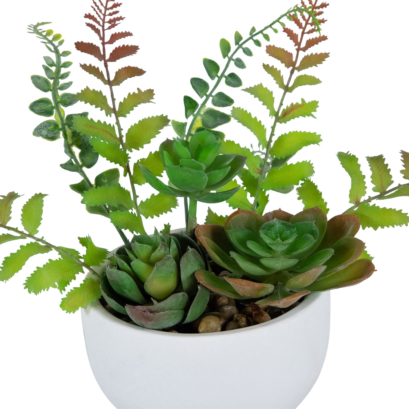 11.5″ Artificial Mixed Red and Green Succulent and Fern Plants in a White Crackl