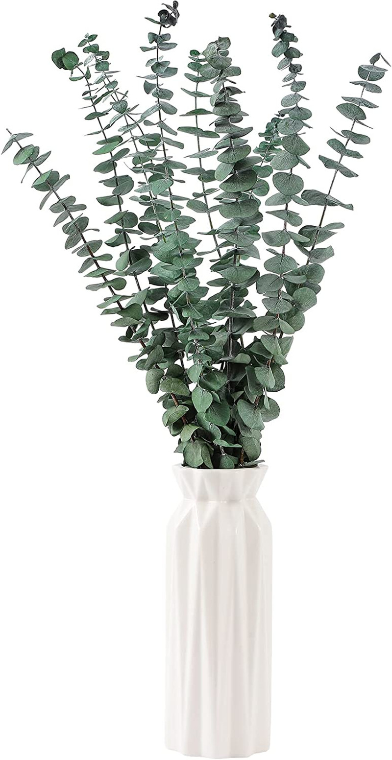 10 Pcs Dried Eucalyptus Stems 17″ Real Eucalyptus for Shower Hanging 100%
