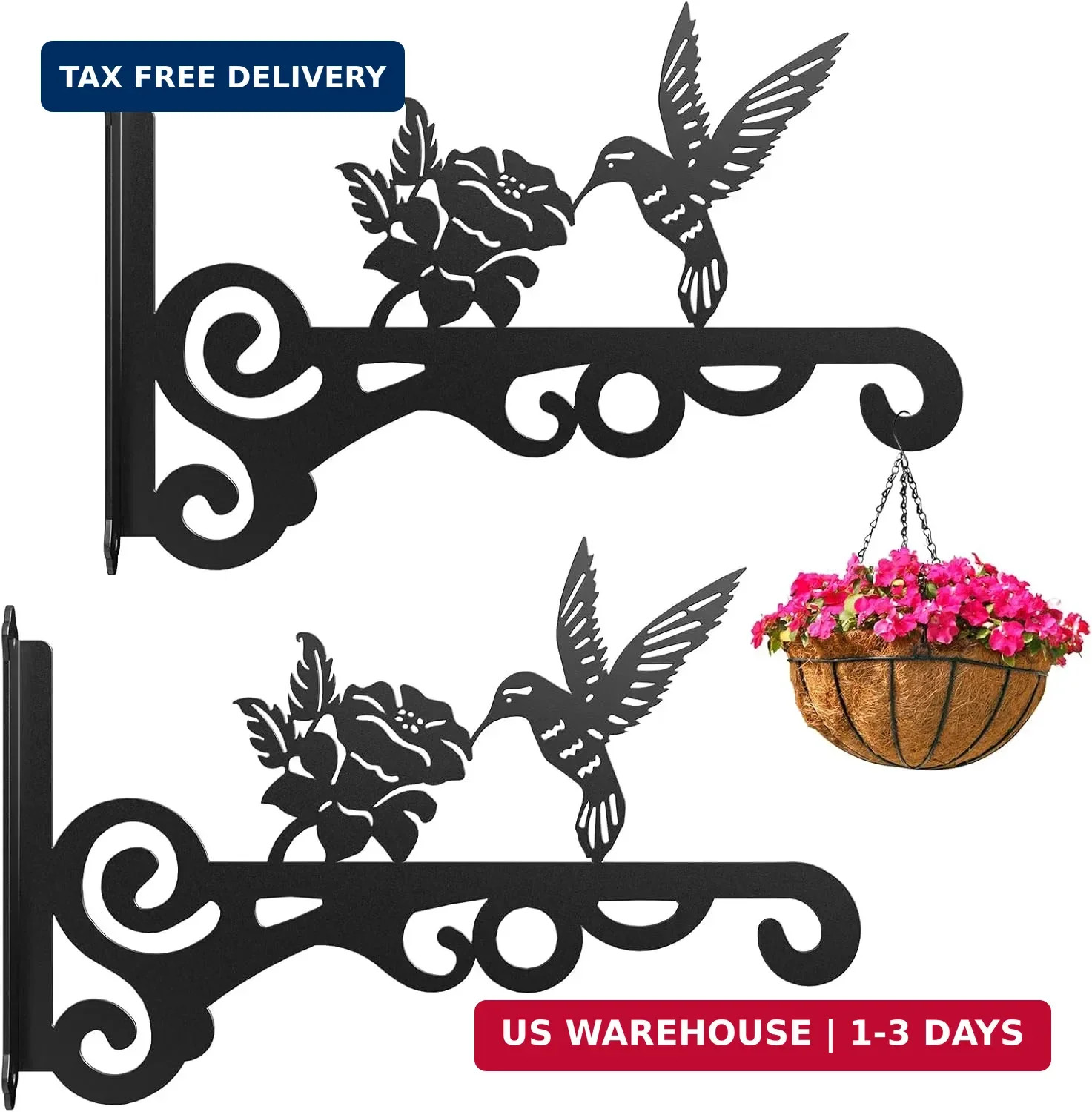 2-Pack Aesthetic Wall Plant Hanger Indoor and Outdoor – 10 Inch Metal Hanging Pl