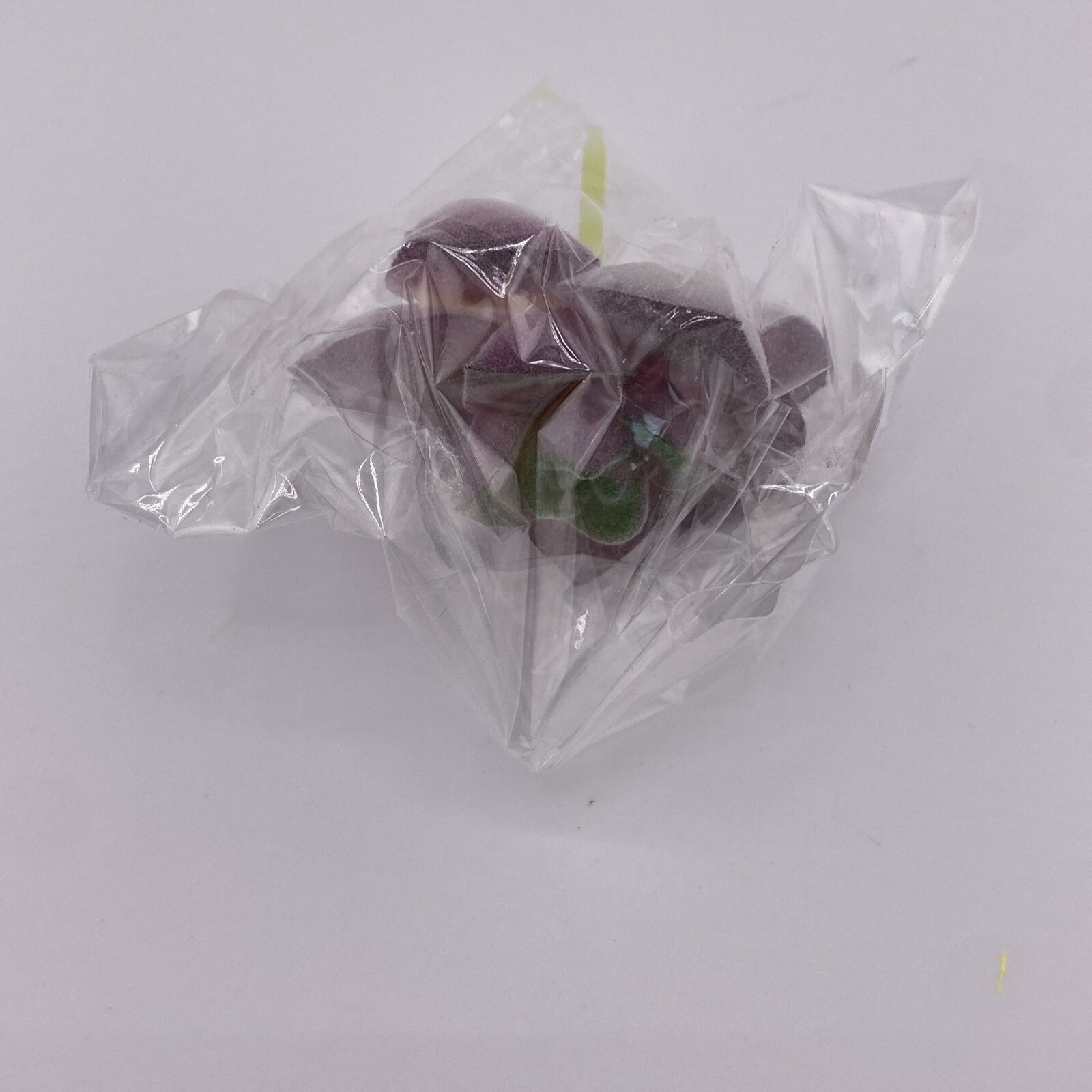 Lot Of 16 Plastic Succulents! Home Decor, Never Used! Make Great Accents! Green!