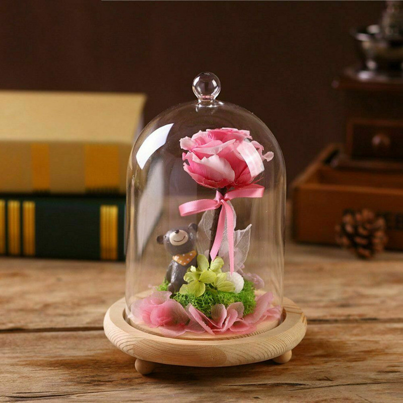 7.87″ Glass Display Bell Jar Dome Cloche Base Decorative Stand Immortal Flower
