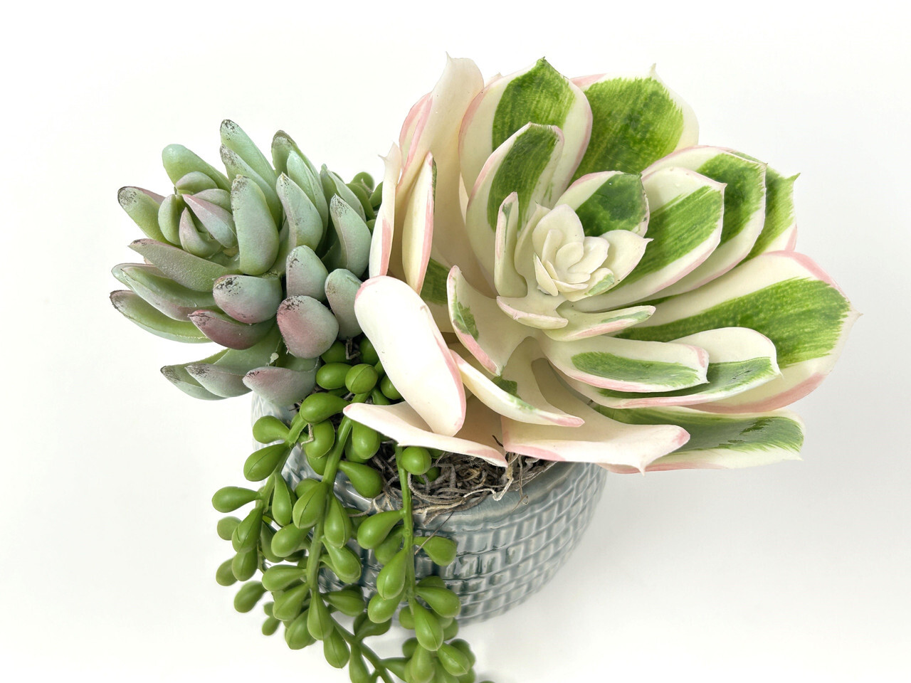 7″ Artificial White Succulent Garden #9 mixed arrangement, 4″ Teal-cream planter
