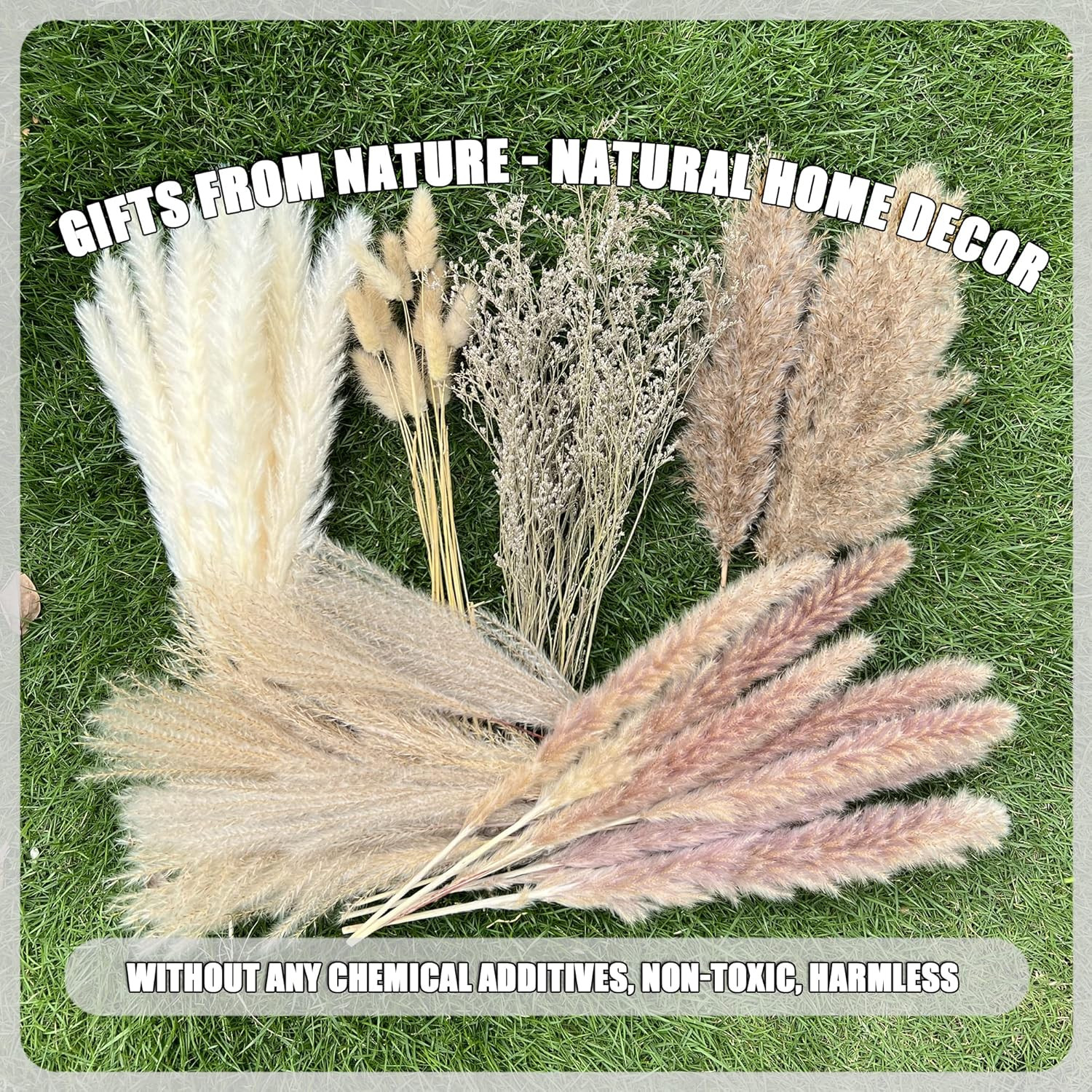 100Pcs Pampas Grass Boho Home Decor 17 Inch Natural Dried Flowers-Pampas Grass C