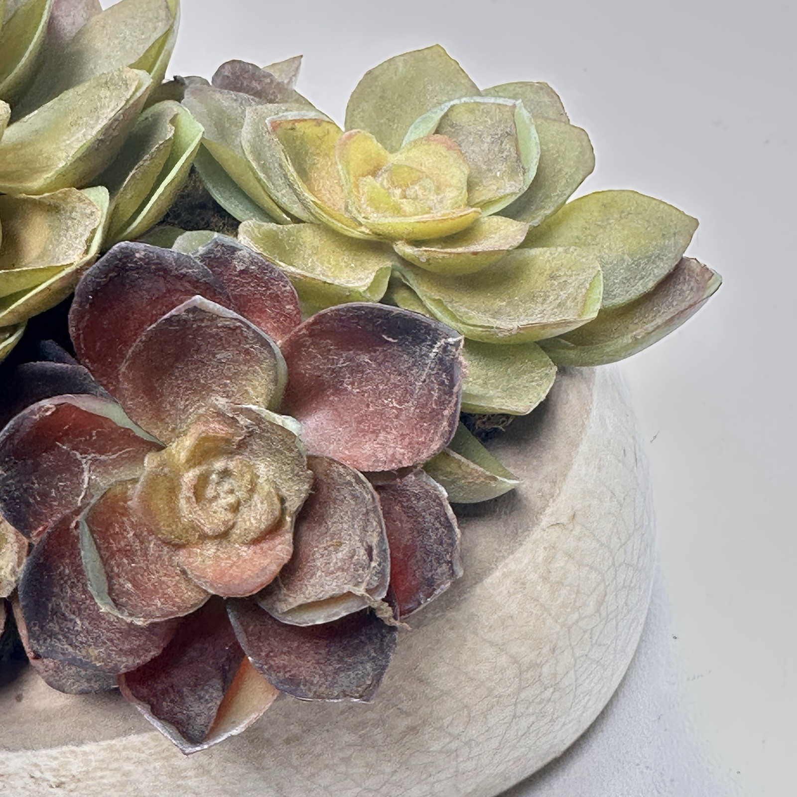 Faux Succulent Plants In Hammered Metal Container 5 In X 6 Inch Looks Real