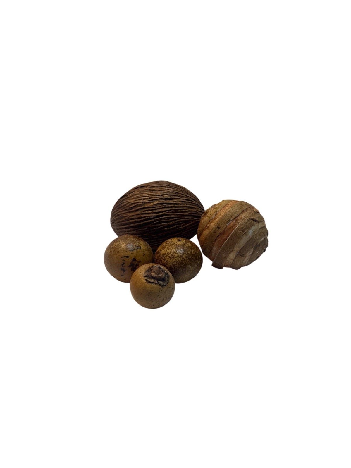 Decorative Natural Dried Brown Seed Pods Textured Set Of 5 Rustic Bowl Filler