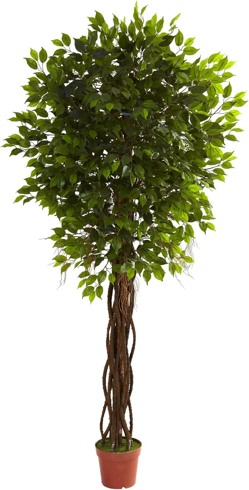 7.5Ft UV Resistant Ficus Tree for Indoor/Outdoor Decor