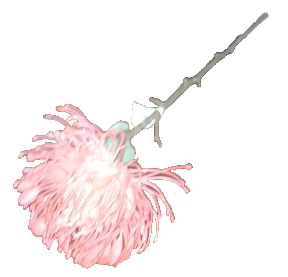 Artifical Flower-Brand New-SHIPS N 24 HOURS