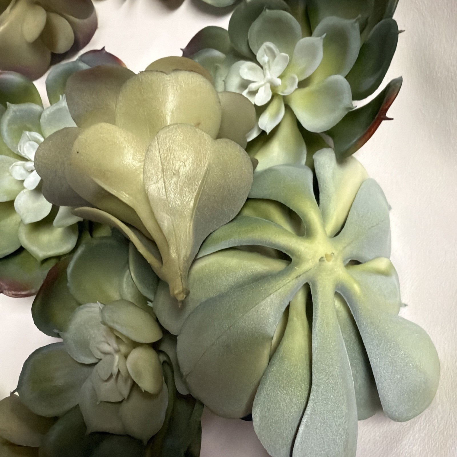 Succulents Plants Artificial 10 Pcs Realistic Premium Fake 4” Succulents NEW