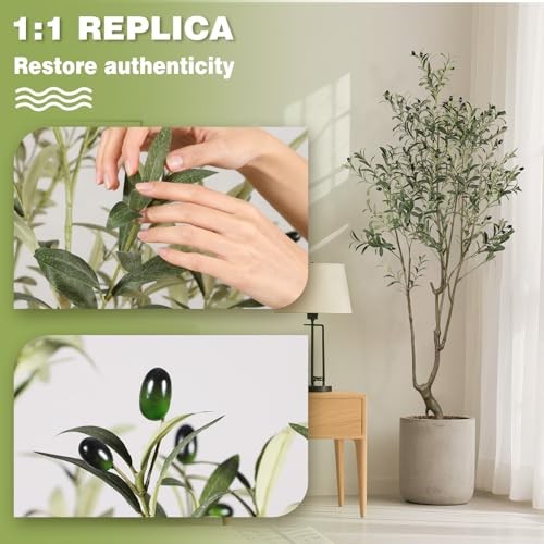 Faux Olive Tree 5.5ft(66in) Tall Artificial Plant Indoor 7ft Olive Tree(1)