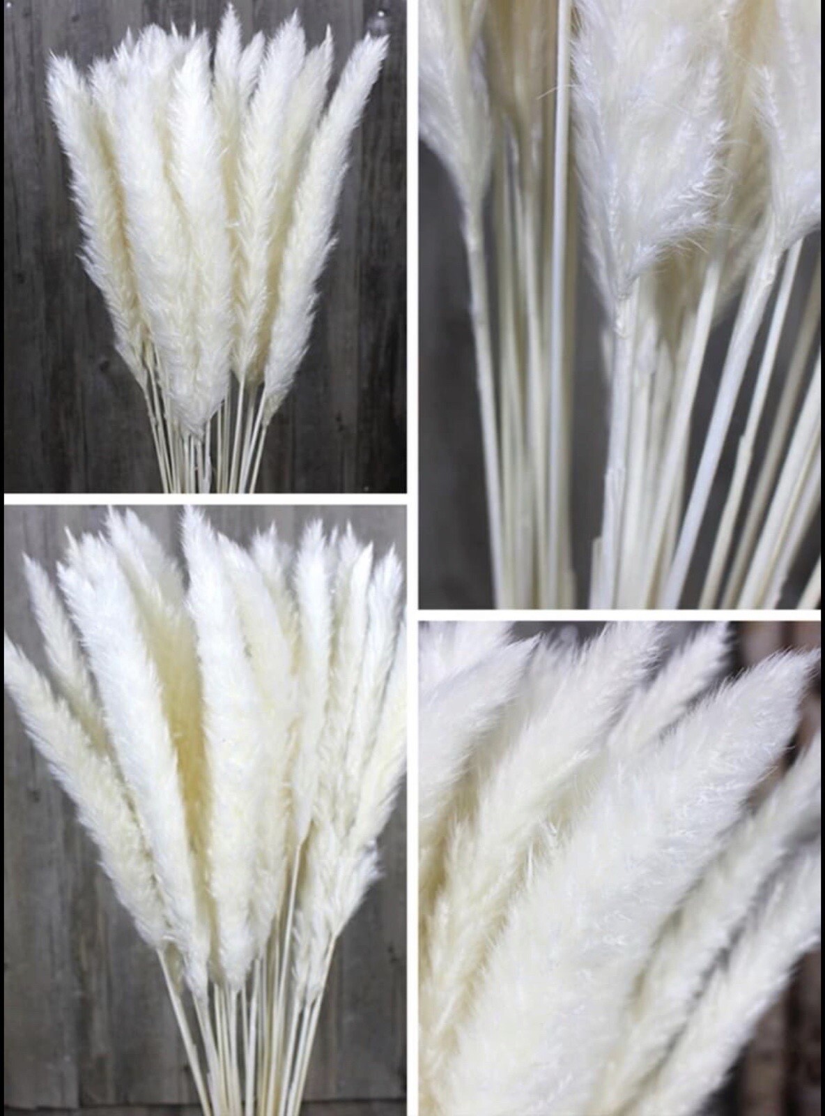 15PCS Natural Dried Pampas Grass 24 In. Reed Flower Wedding Bouquet Home Decors