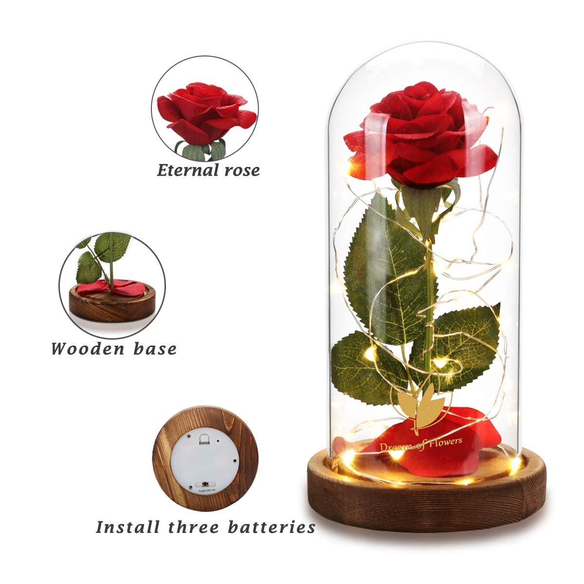 Beauty and the Beast Rose, Mothers Day Forever Preserved Flower Rose Gifts fo…