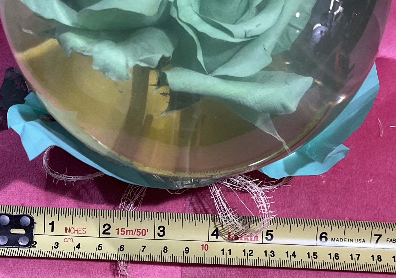 Vtg. Green Eternal Rose Real Preserved Rose Ball In Water Dome/Globe; Lg 6”-7”