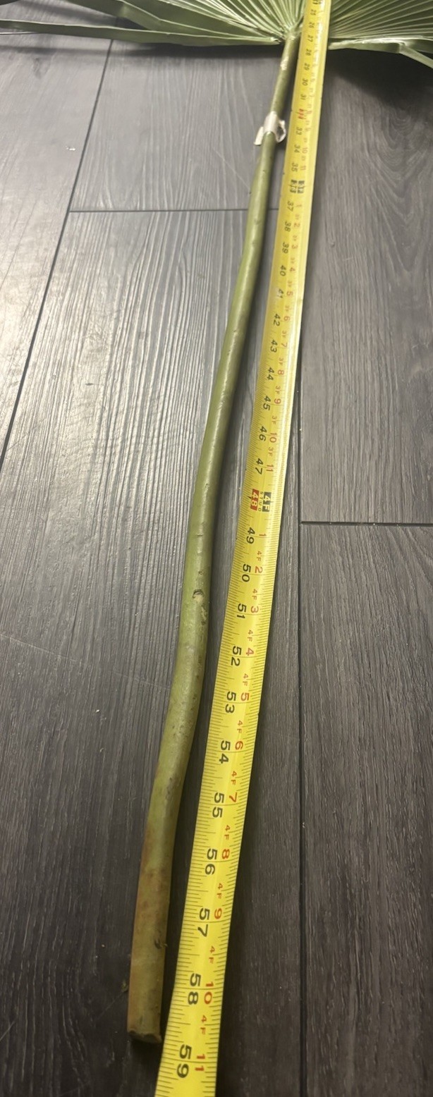 Large Fan Palm Leaf Stem 58” Tropical Boho Coastal Wedding Home Decor Prop