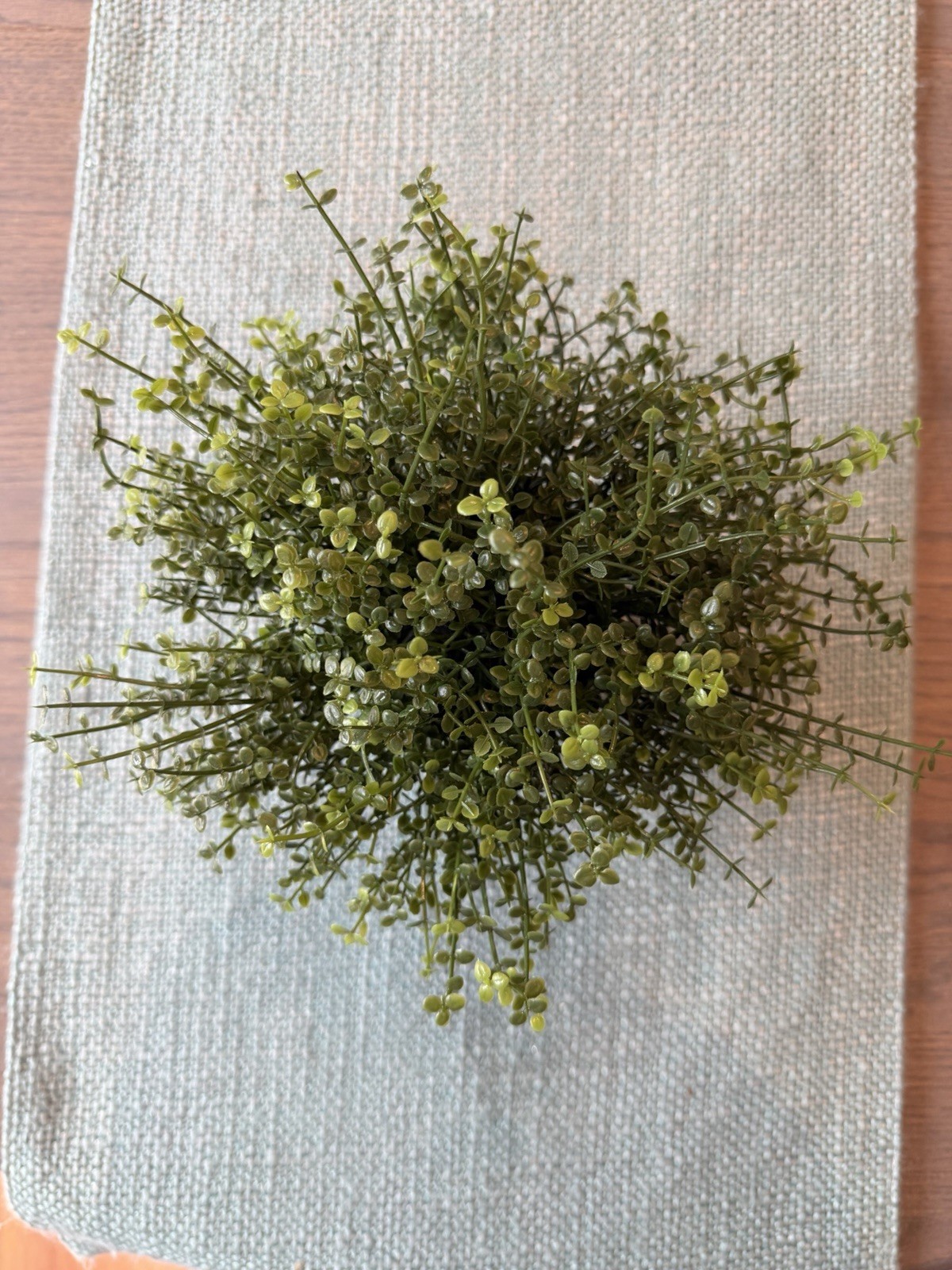 IKEA FEJKA Artificial Potted Plant Herb Thyme Indoor Outdoor 8 Inch Cottagecore