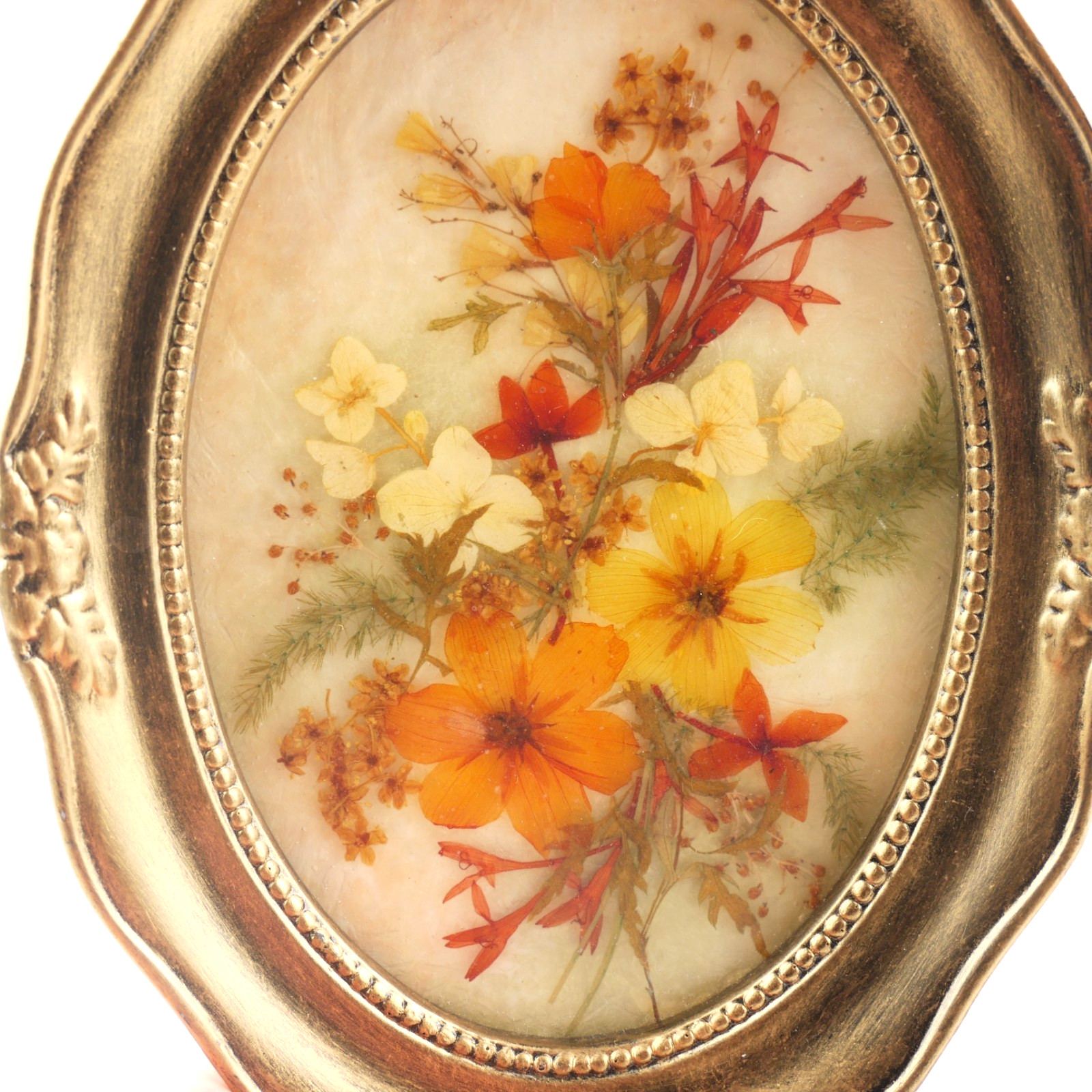 Vintage 1999 Fibretec Sri Lanka Preserved Real Tropical Flower Art Oval Frame