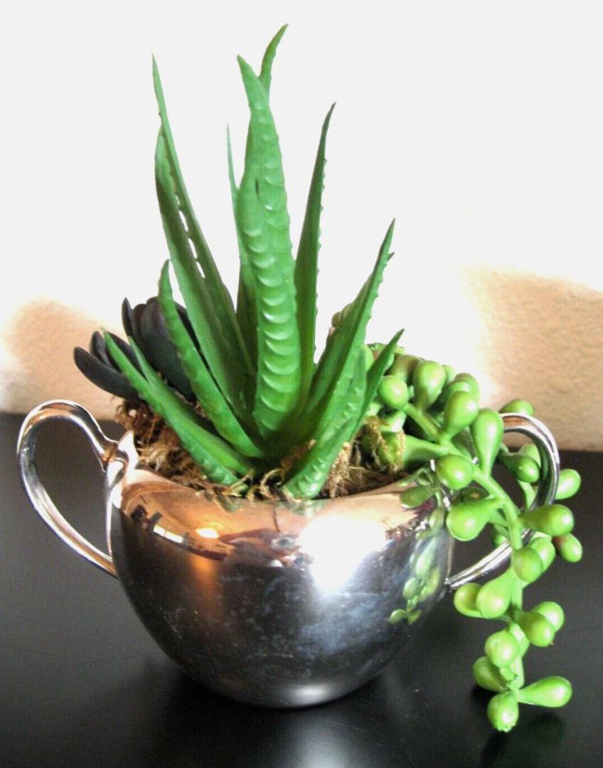 House Plant – Home Decor, Nice, Beautiful, Faux, Fake Sedum MCM Containers