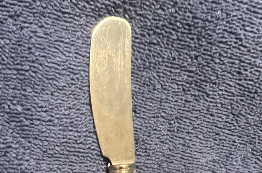 Canapé Cheese Knife With Red Hibiscus Flower White Silver Kitchen