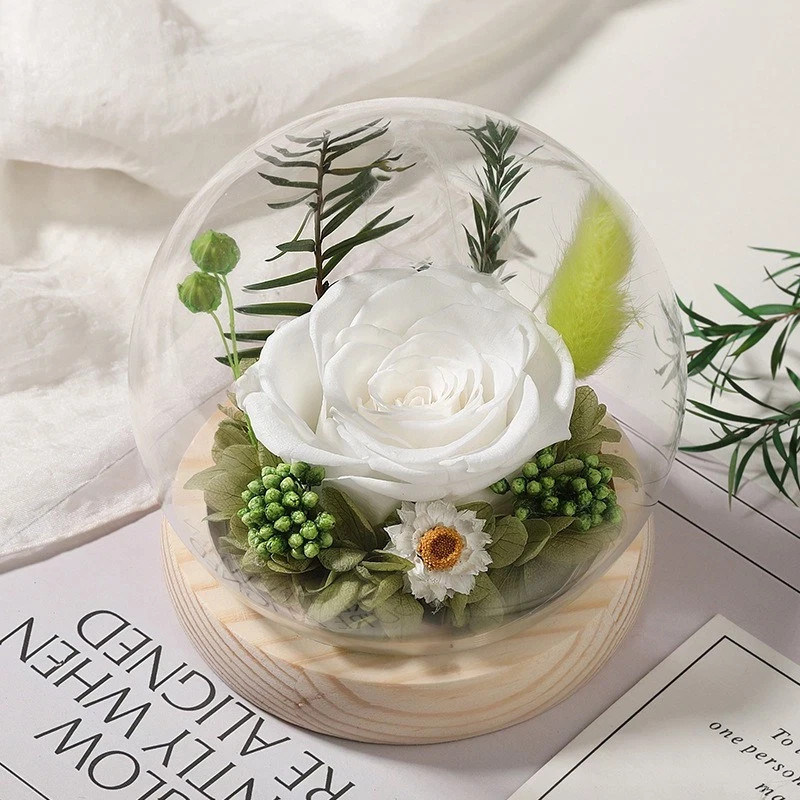 Eternal Rose in Glass Dome – Preserved Real Flower, Symbol of Lasting Romance
