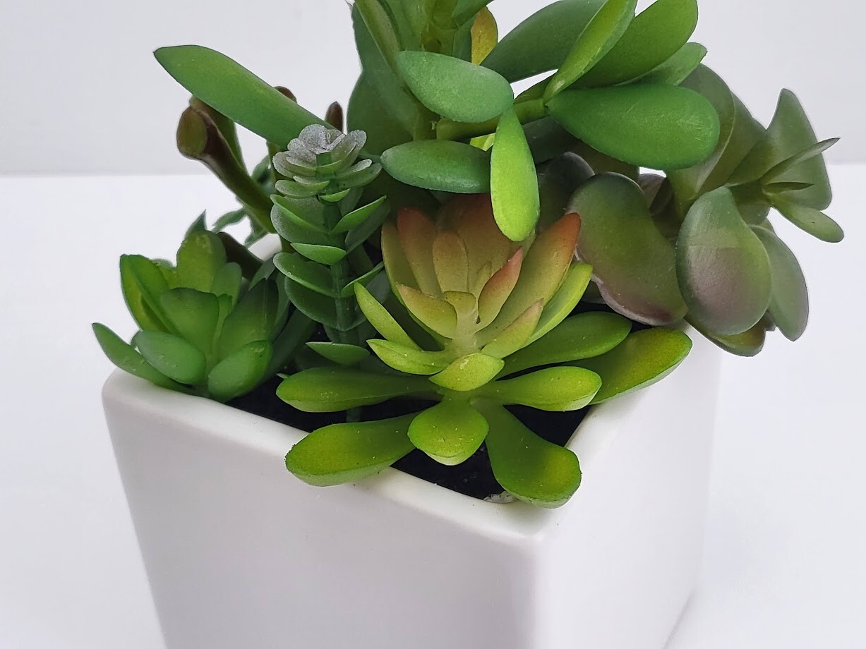 2-Pack Cactus Artificial Succulent Fake Plants Ceramic White Planter Pot 4x4x7