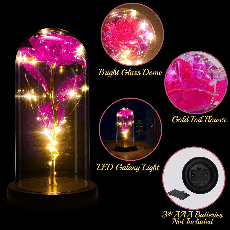 Crystal Galaxy Rose Flower Glass Dome 20 LED Lights Gift for Girlfriend Mom Wife