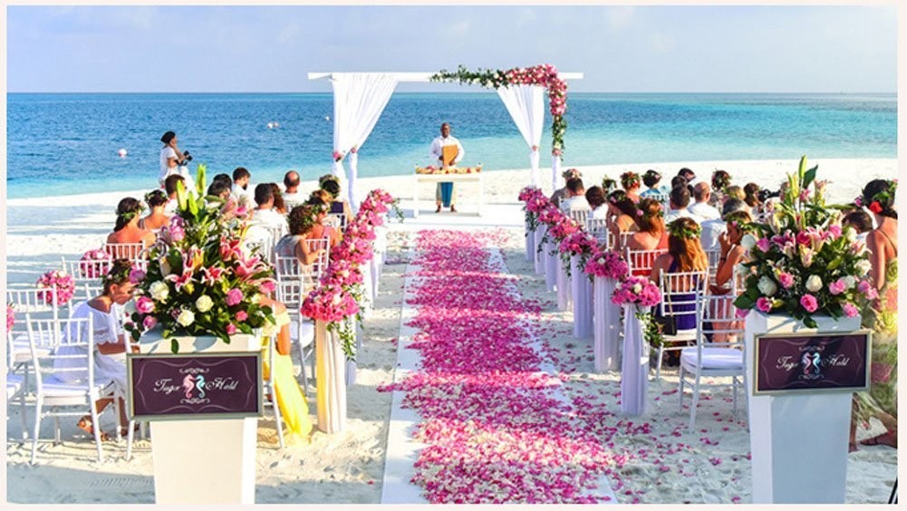 1000pcs Rose Petals Artificial Silk Flower Rose Petals for Wedding Decoration…