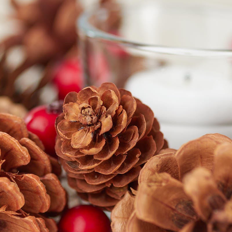 Group of 6 Pinecone and Artificial Winterberry Berry Candle Ring