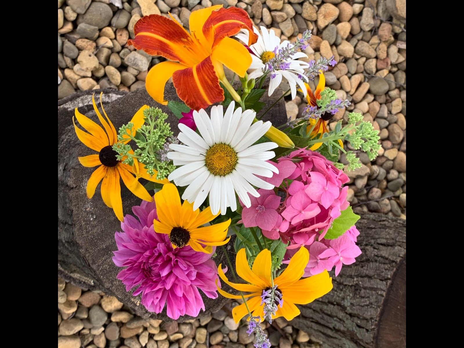 Fresh Cut Variety Flowers – Garden of Eden Flower Company