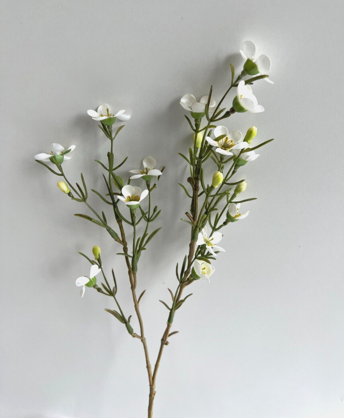 Australian Native Flowers Wax Flower Geraldton Wax Spray White Faux Silk Stem