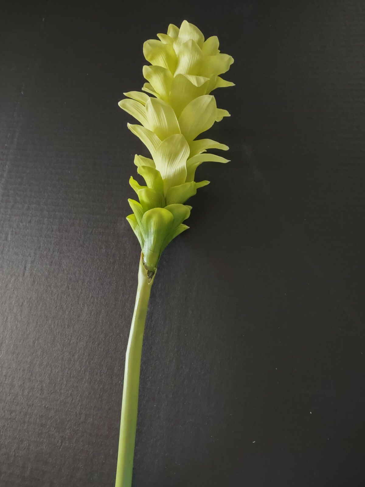 Ginger lily stem. Silk arrangements tropical Hawaiian flowers Lime Green