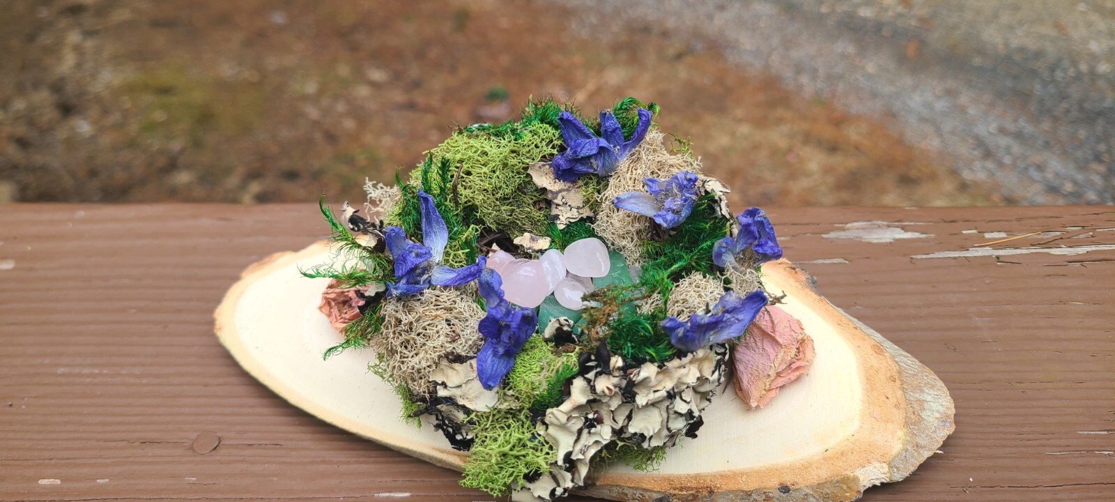 Spring Decor. Bird Nest With Moss Dried Flowers And Crystals. Resting On Wood.