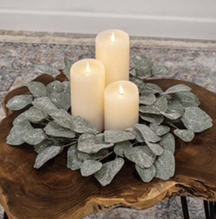 Frosted Dollar Eucalyptus Christmas Or Winter Small Wreath Ring, 6.5