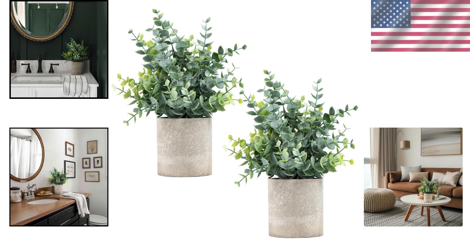 Small Eucalyptus Plants for Shelf – 2 Pack