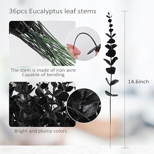 36Pcs Black Eucalyptus Leaves Stems 15in – 36pcs
