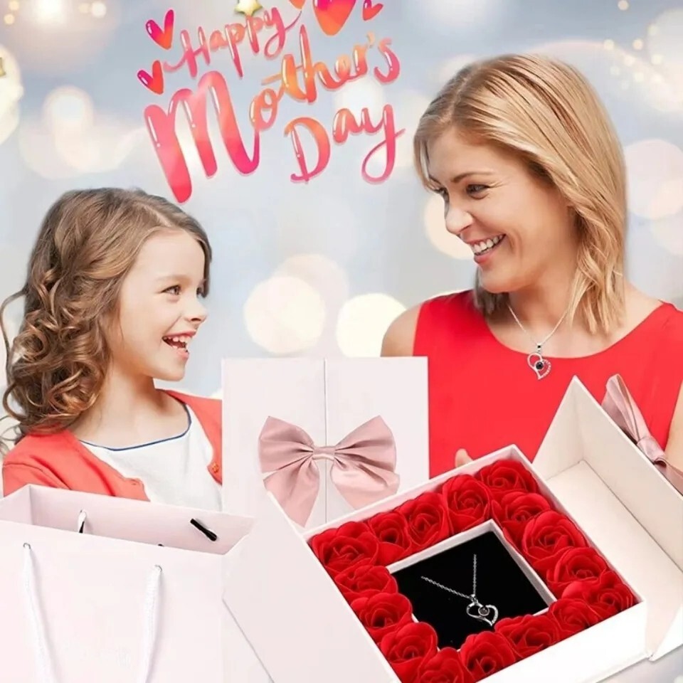 Preserved Eternal Real Rose Flower Gift Box With 14K Gold Plated Necklace silver