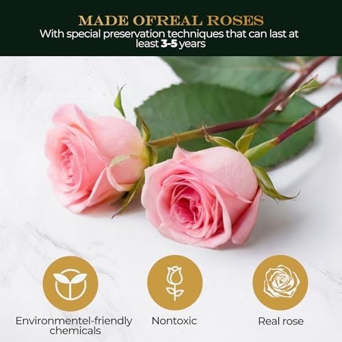 LED Glass Dome Flower Light – Long-Lasting Real Flower Gift for Women, Moms & Fr