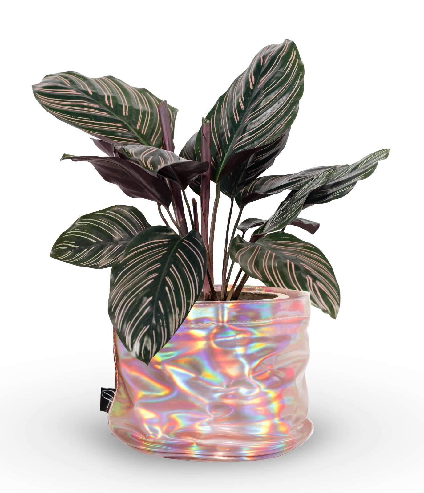 Decorative Flower Pot Cover With Saucer – Plant Basket for Up to 6″ Planter