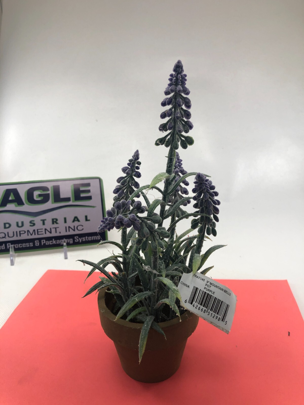 CWI Collection 9″ Purple Mountain Bells flowers in a pot