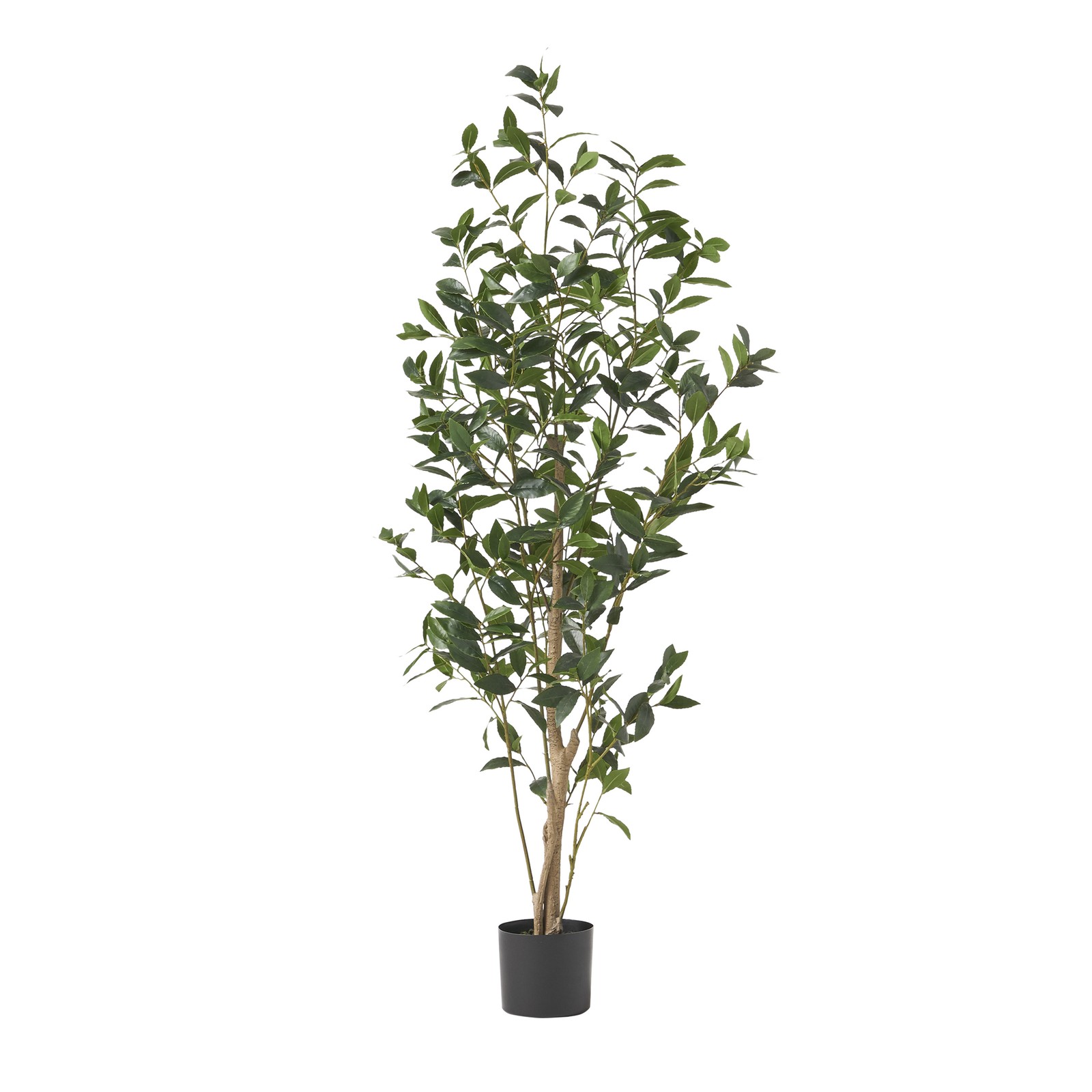 64″ Artificial Laurel Tree Plant for Indoor/Outdoor Green
