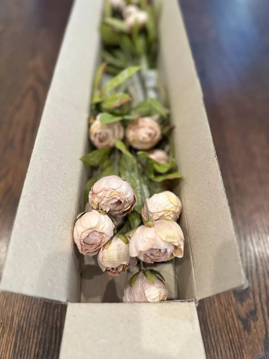 Michaels Ashland Tan Peony Stems Set of 8 – Decor TikTok Viral Flowers New