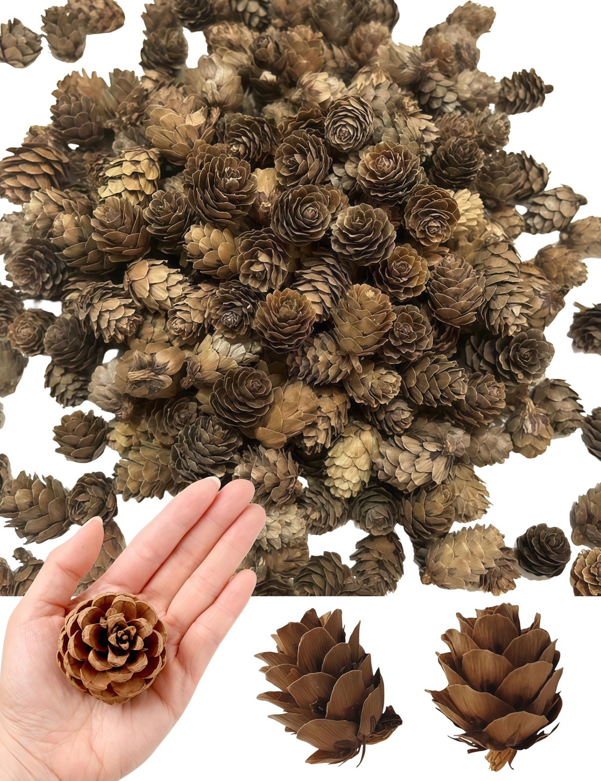 160 PCS Natural Mini Pine Cones 1.18 Inch Or More Decorating Christmas DIY