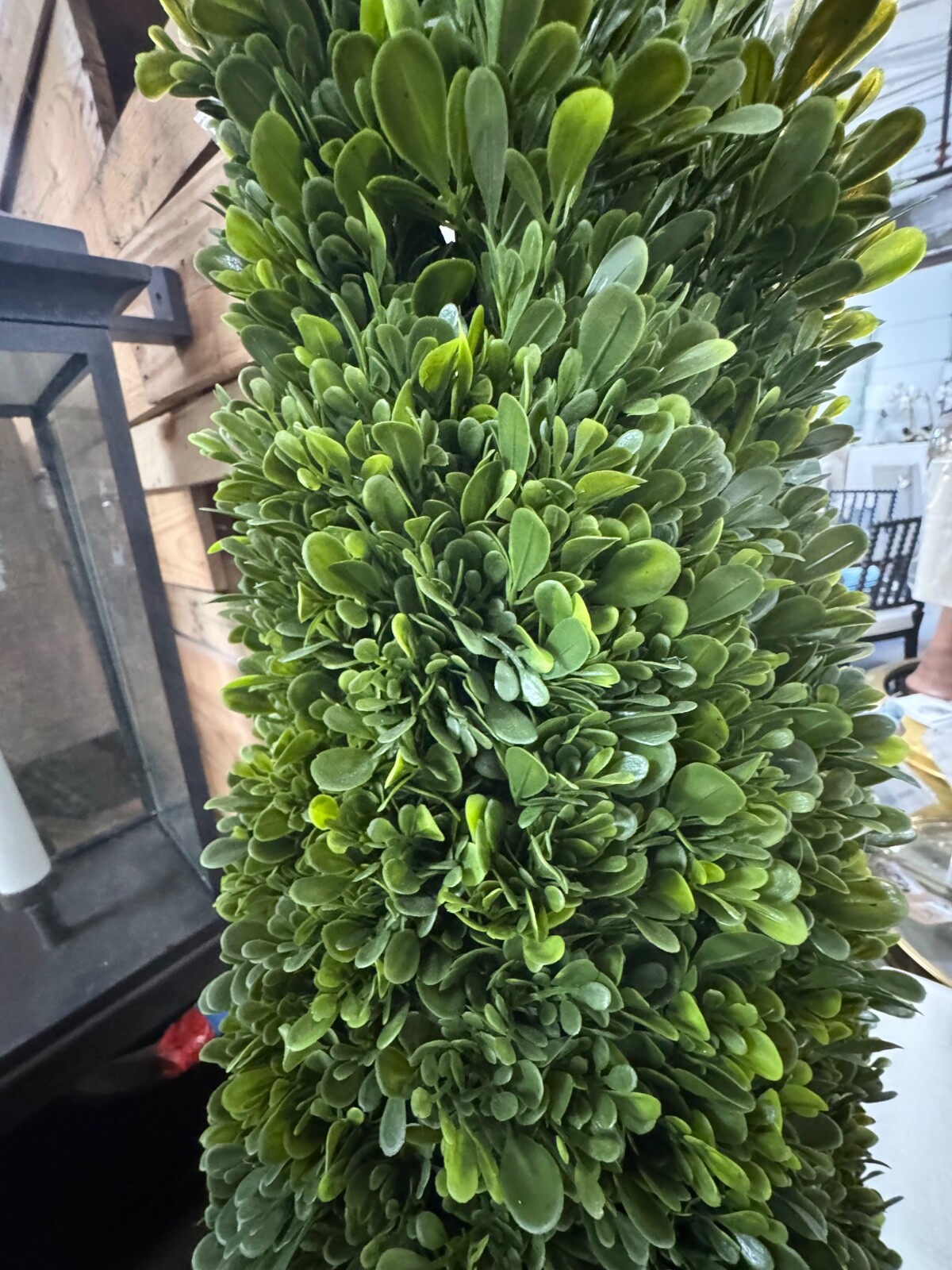 Faux Boxwood Cone Plant in Concrete Pot, 67″T