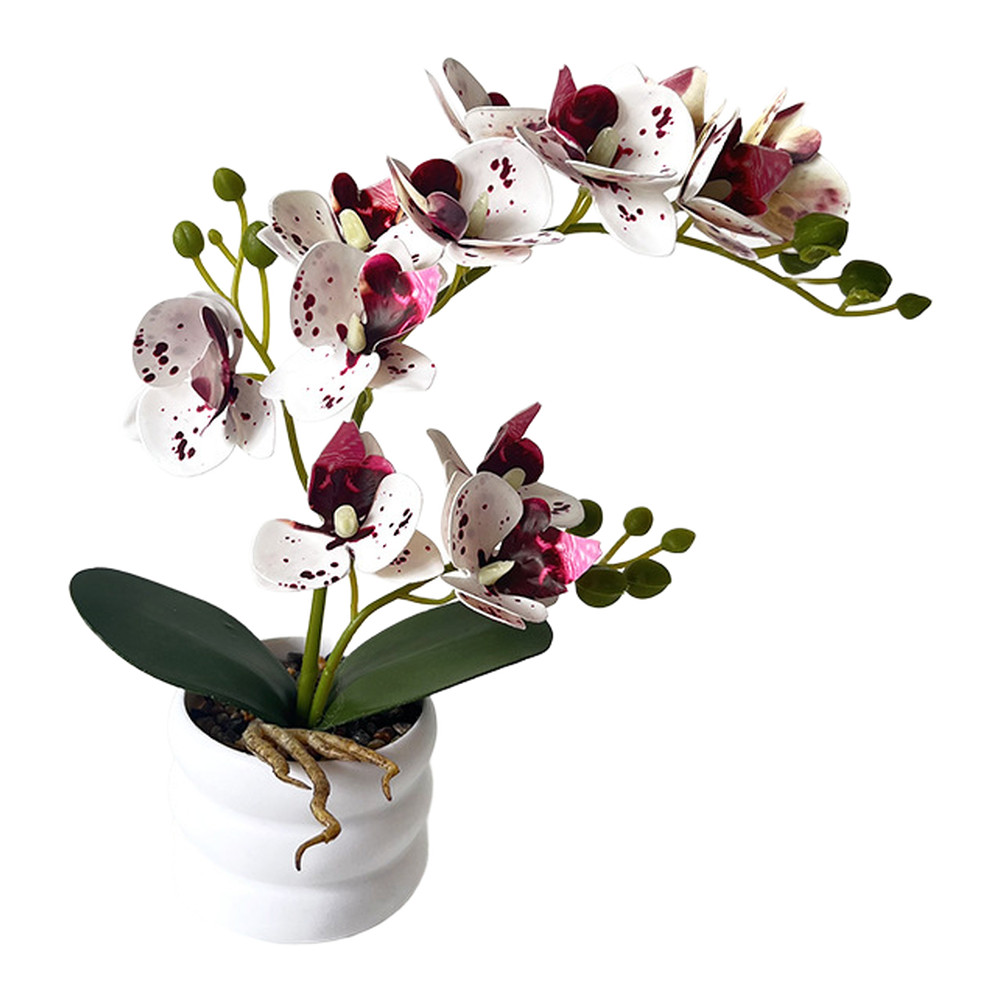 Elegant Floral Display Faux Phalaenopsis Orchid Dust Resistant 12-bloom Design