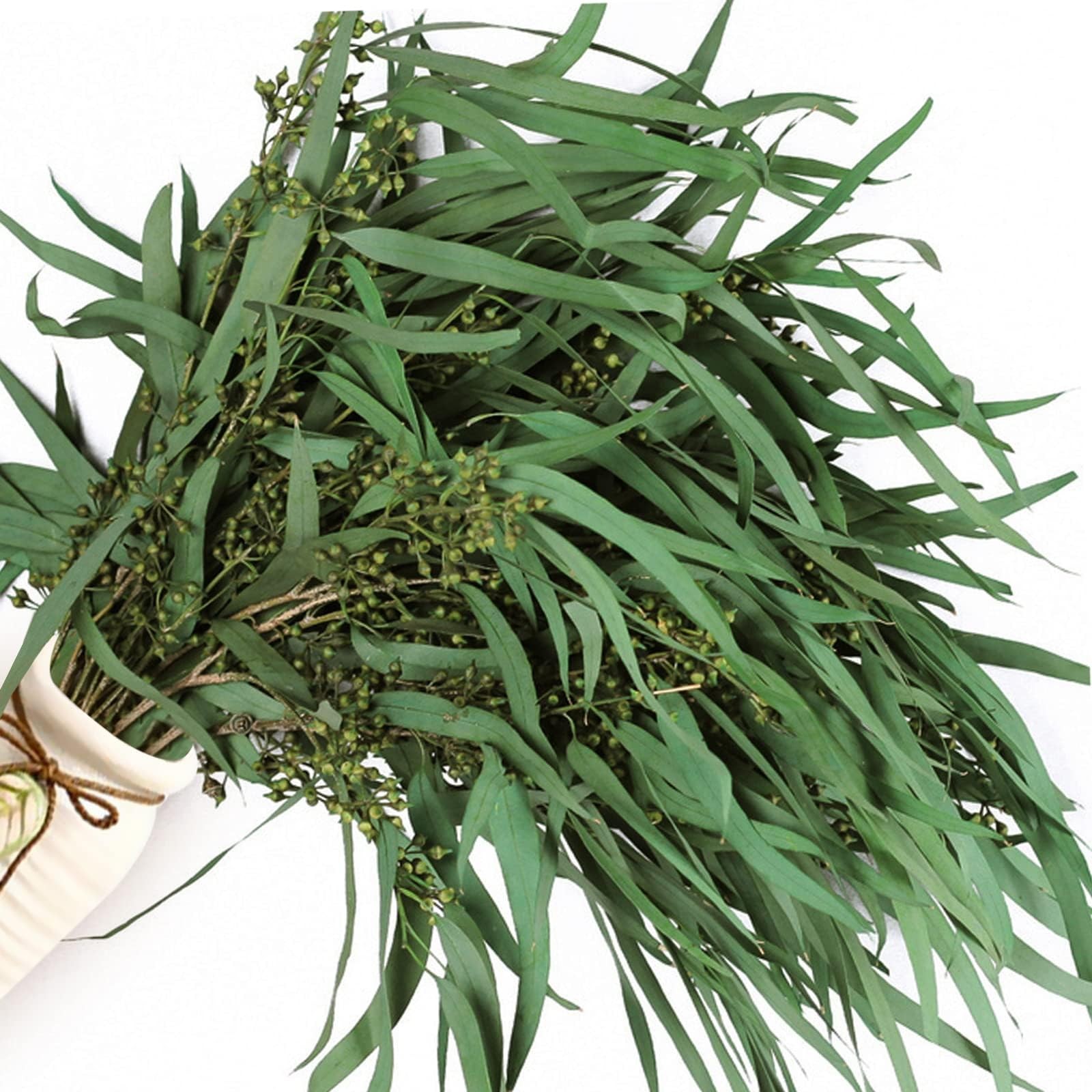 17” Real Dried Seeded Eucalyptus Stems for Shower, Preserved Natural Eucalyp…