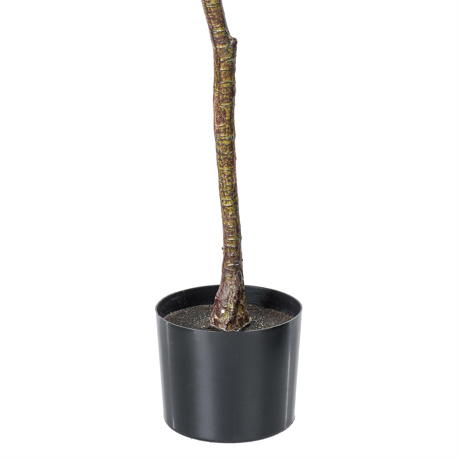 Pemberly Row 72″ Artificial Milan Leaf Tree in Black Planters Pot