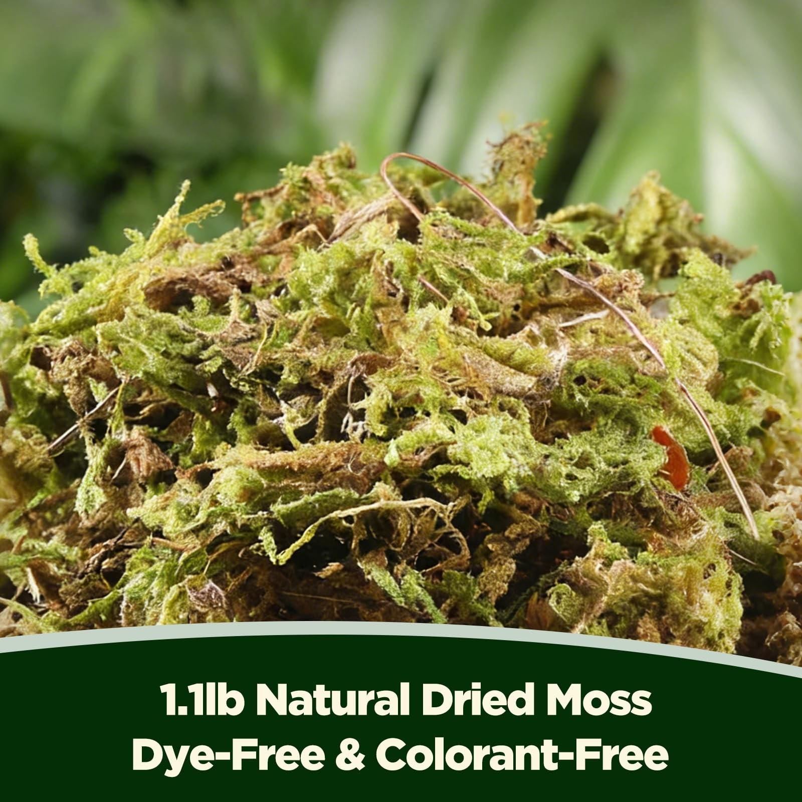 1.1 LBS Artificial Fake Moss Premium Faux Terrarium Craft Natural Green Decor