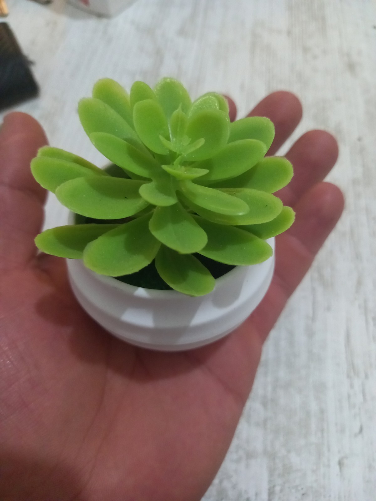 Artificial succulent plant for decoration