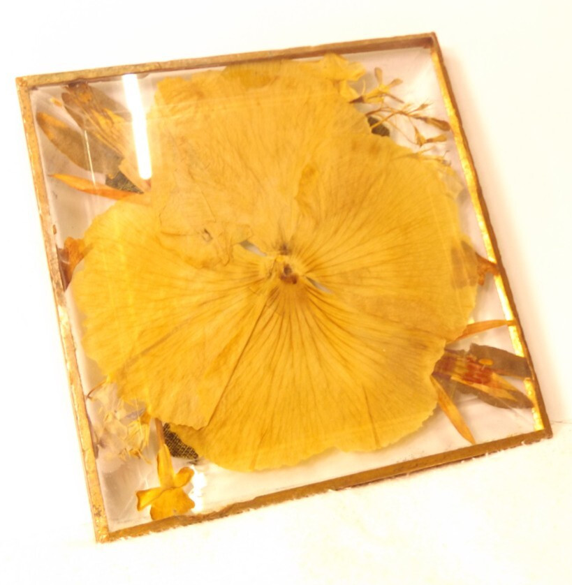 Snapdragon Pacific Paper Pressed Flower Decor Coaster 4”x4”